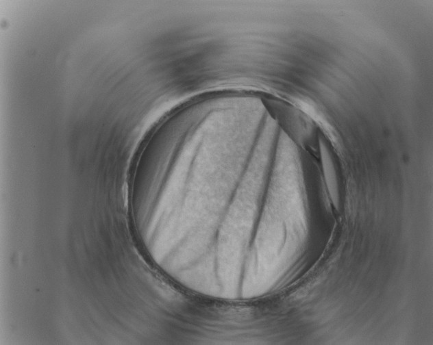 X0000088411372200706191412