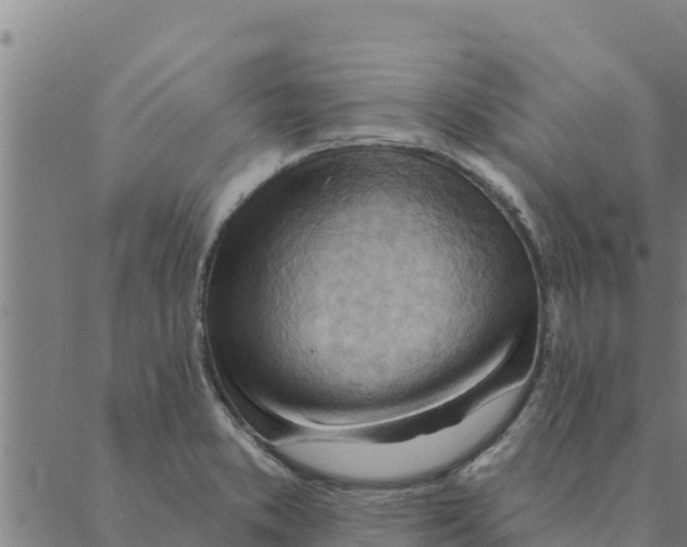 X0000088411373200706191412