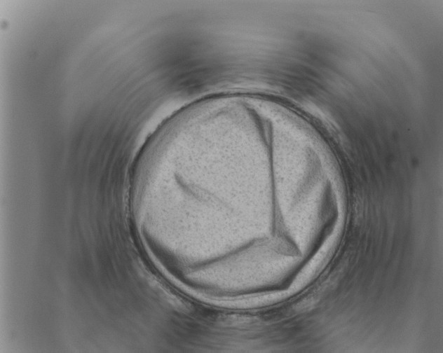 X0000088411374200706191412