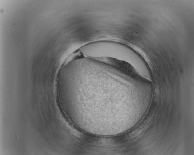 X0000088411375200706191412