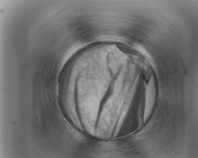 X0000088411376200706191412