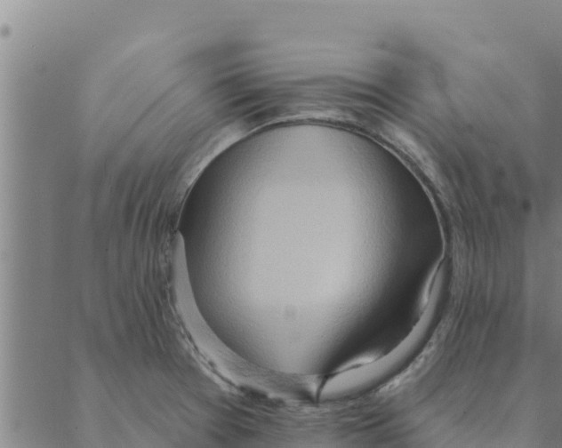 X0000088411377200706191412