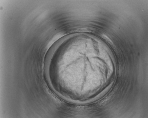 X0000088411378200706191412