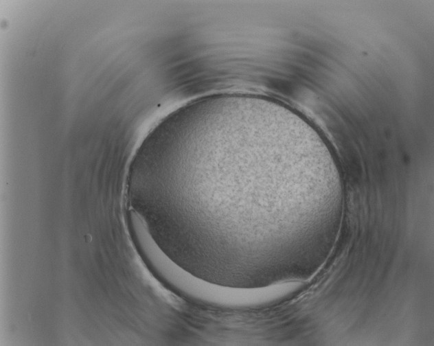 X0000088411379200706191411