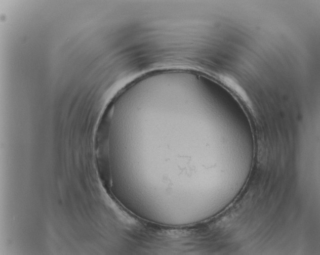 X0000088411380200706191411