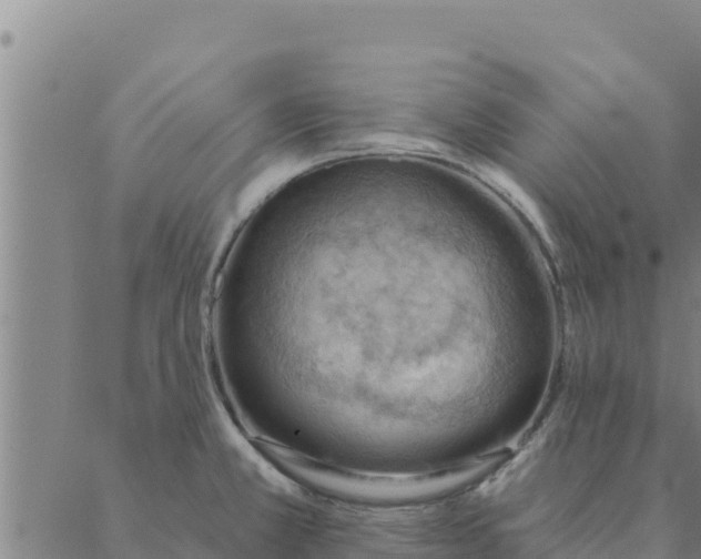 X0000088411381200706191411