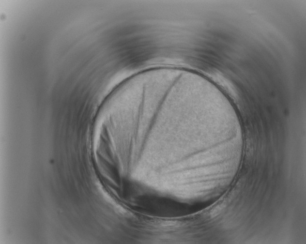 X0000088411382200706191411