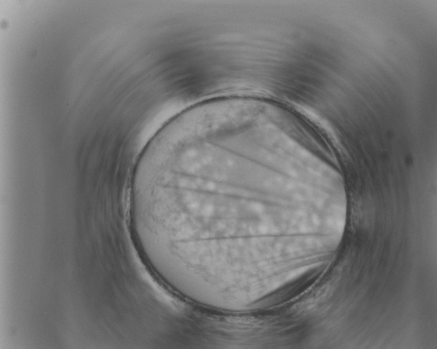 X0000088411383200706191411