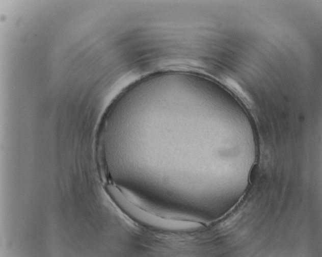 X0000088411384200706191411