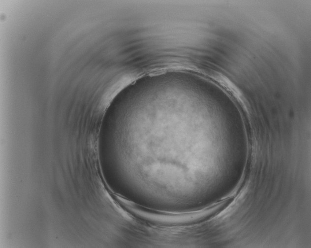 X0000088411385200706191411