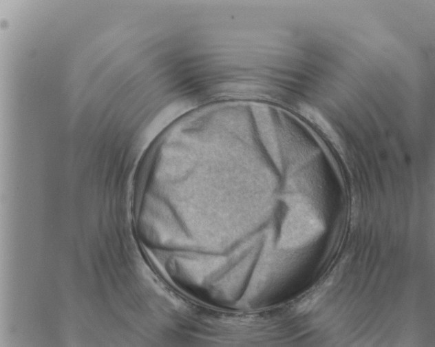 X0000088411386200706191411