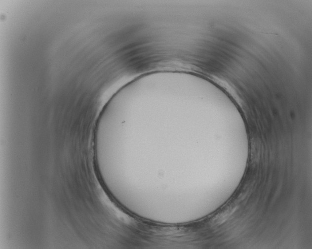 X0000088411387200706191411