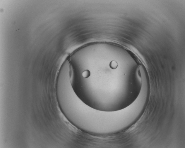 X0000088411388200706191411