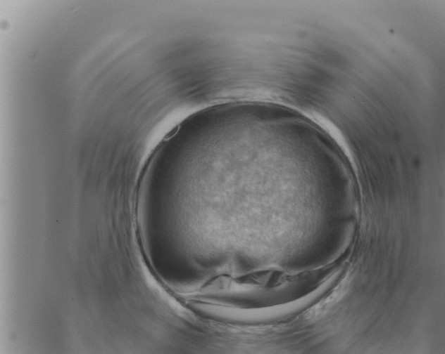 X0000088411389200706191411