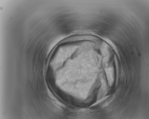 X0000088411390200706191411