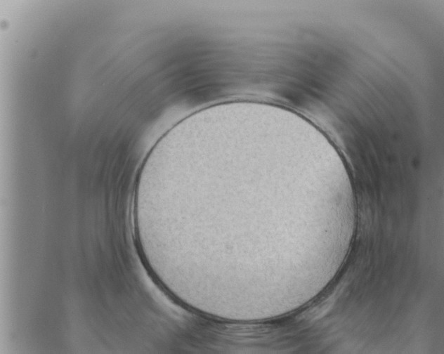 X0000088411391200706191411