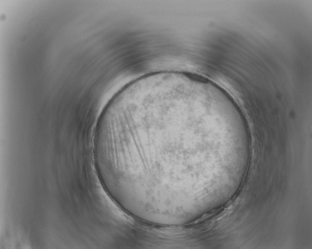 X0000088411392200706191411