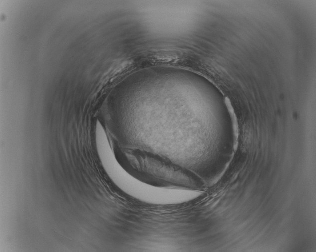 X0000088411394200706191411