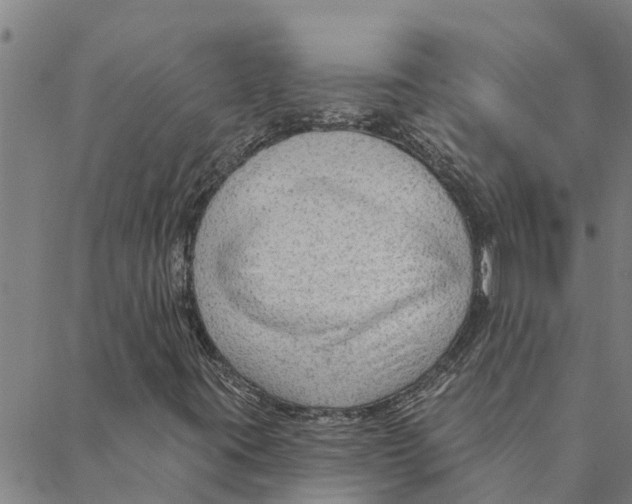 X0000088411395200706191411