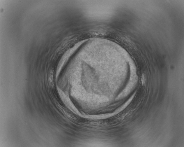 X0000088411396200706191411