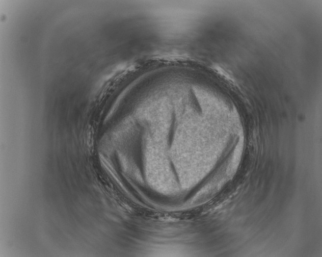 X0000088411398200706191411