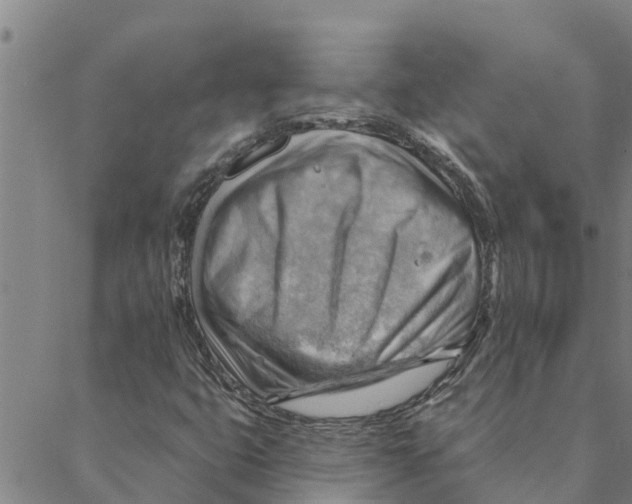 X0000088411399200706191411