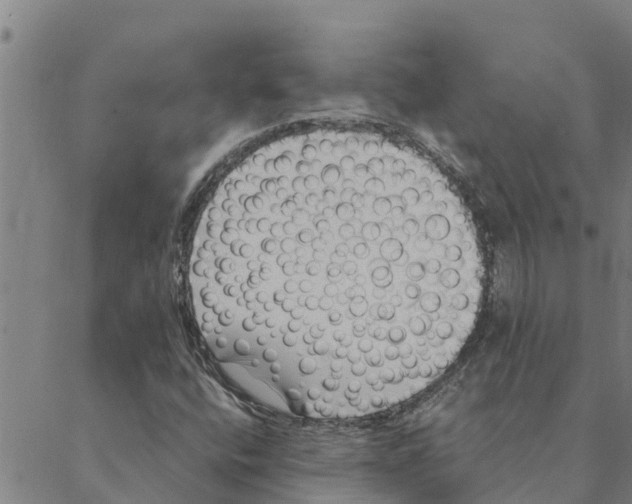 X0000088411400200706191411