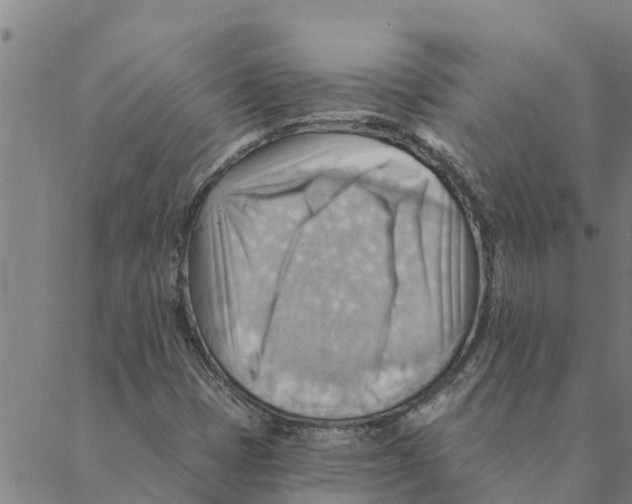 X0000088411401200706191411