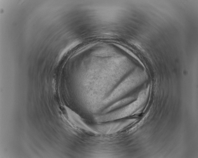 X0000088411402200706191411