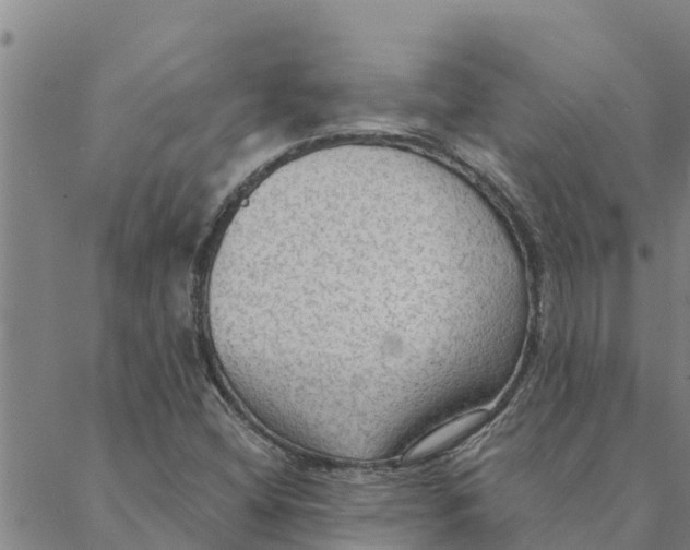 X0000088411404200706191411