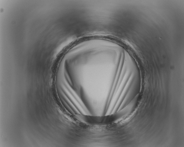 X0000088411406200706191411