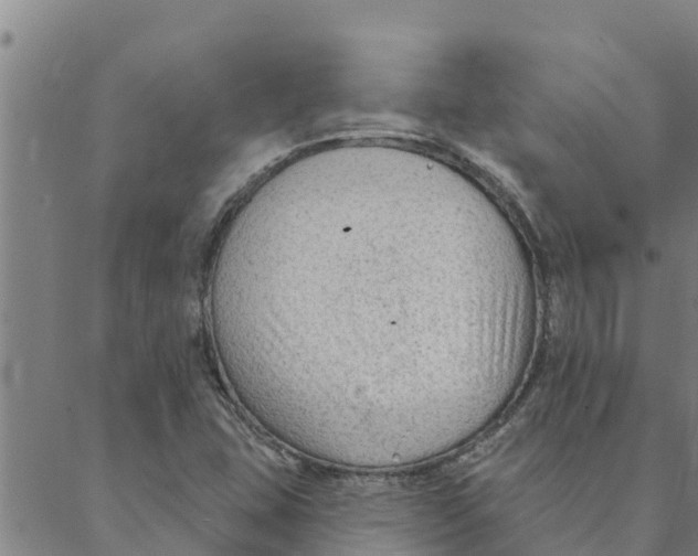 X0000088411407200706191411