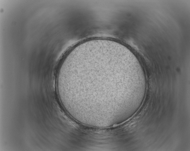 X0000088411408200706191411