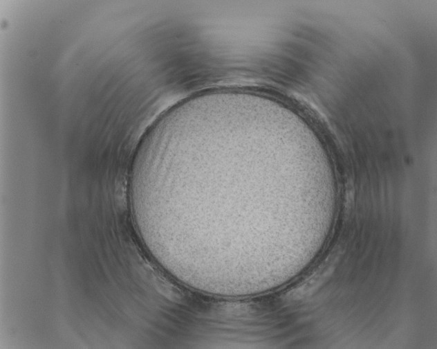 X0000088411409200706191411