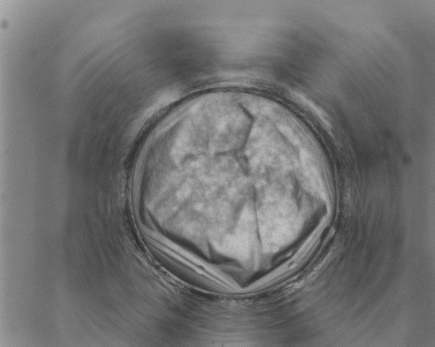 X0000088411411200706191411