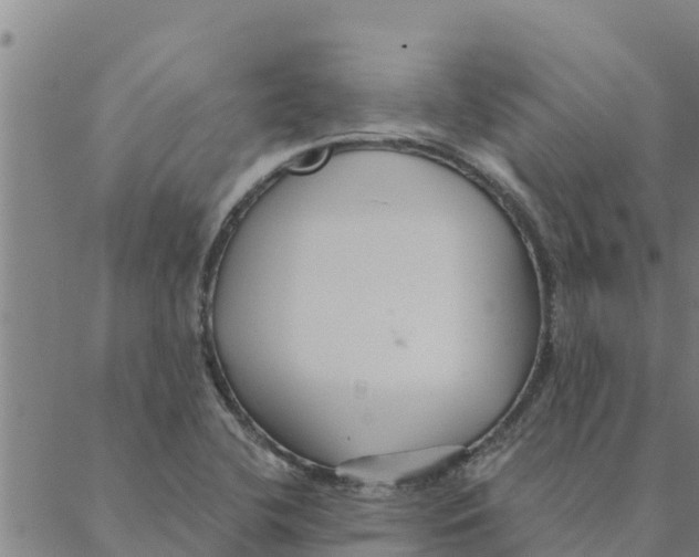 X0000088411412200706191411