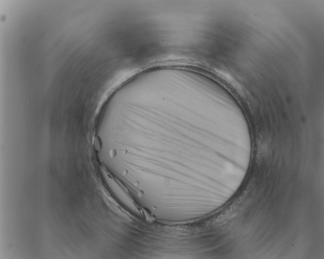 X0000088411413200706191411