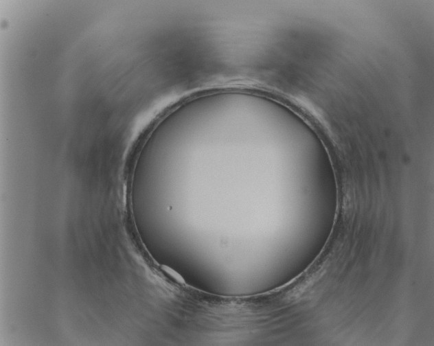 X0000088411414200706191411