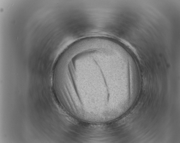 X0000088411415200706191411