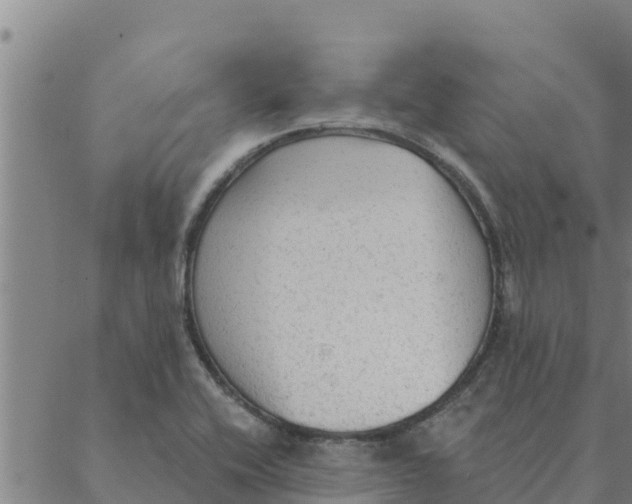 X0000088411416200706191411