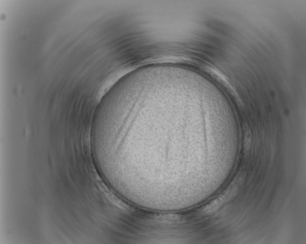 X0000088411417200706191411