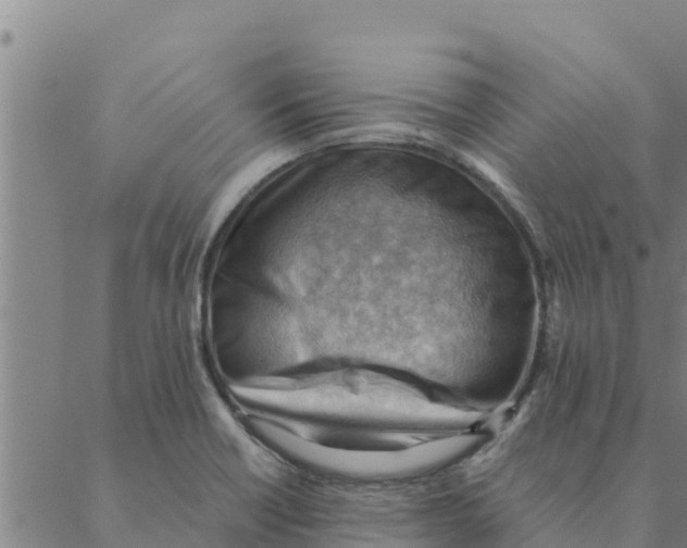 X0000088411418200706191411