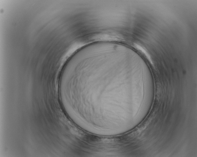 X0000088411419200706191411