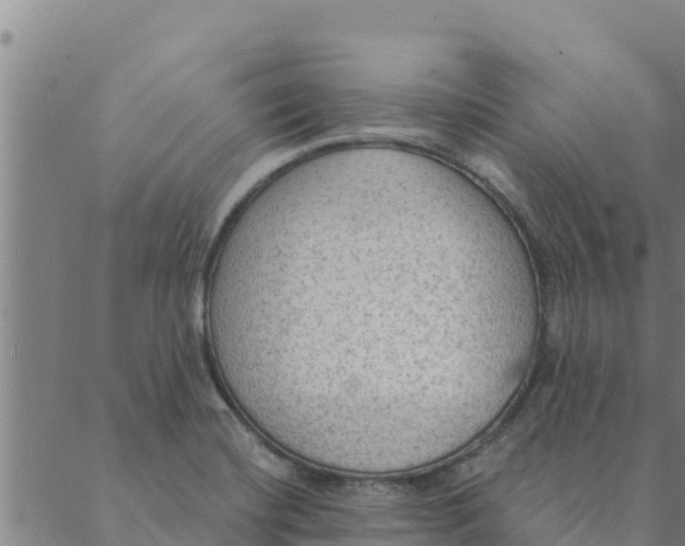 X0000088411420200706191411