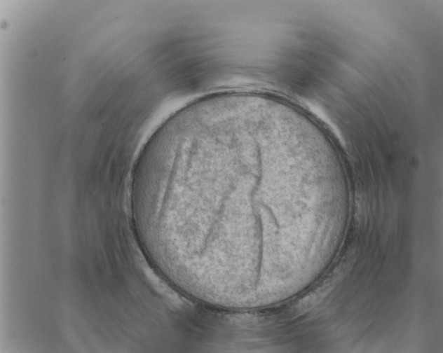 X0000088411421200706191411