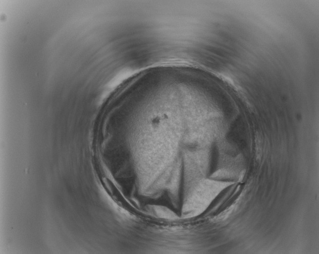 X0000088411422200706191411