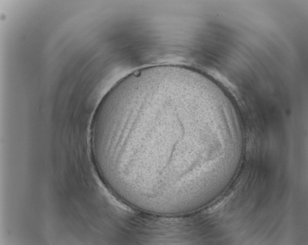 X0000088411423200706191411