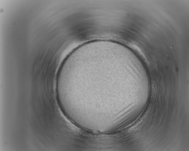 X0000088411424200706191411