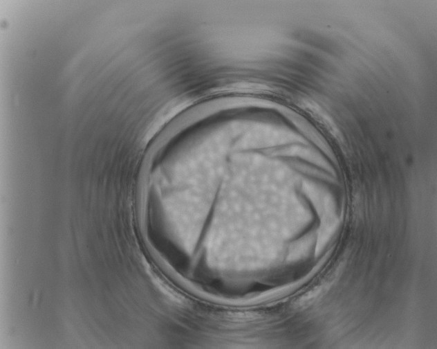 X0000088411425200706191411