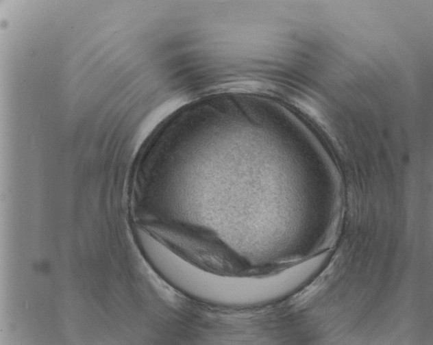 X0000088411426200706191411